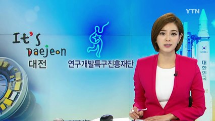 '닭고기 속 항생제' 정확하게 알아낸다 / YTN (Yes! Top News)