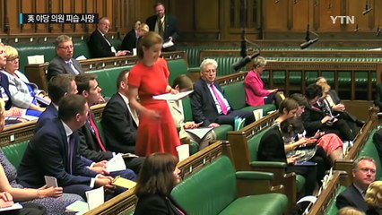 英 야당 의원 피습 사망...'브렉시트' 투표전 중단 / YTN (Yes! Top News)