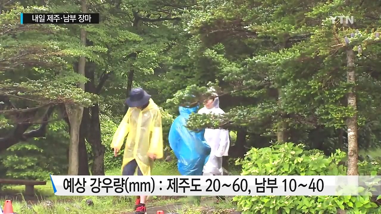 [날씨] 내일 남부 다시 장맛비...모레 전국 장마권 / YTN (Yes! Top N...
