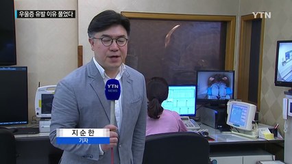 자살까지 이어지는 우울증...뇌의 비밀 풀었다 / YTN (Yes! Top News)