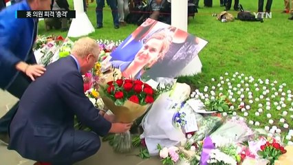 英, 의원 피격 '충격'...'EU 잔류' 힘 실릴까? / YTN (Yes! Top News)