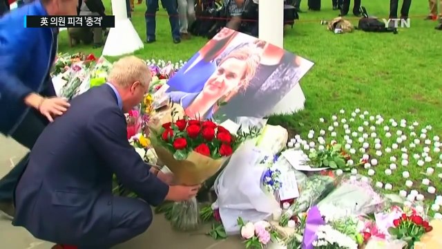 英, 의원 피격 '충격'...'EU 잔류' 힘 실릴까? / YTN (Yes! Top News)