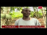 Business 24  / Focus Eco - Cacao culture /Sassandra : Une cooperative réalise des actions sociales