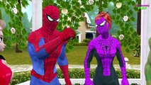 Spiderman Frozen Elsa Hulk Treasure Hunt | Spiderman Vs Joker | Spiderman Finger Family Rhymes