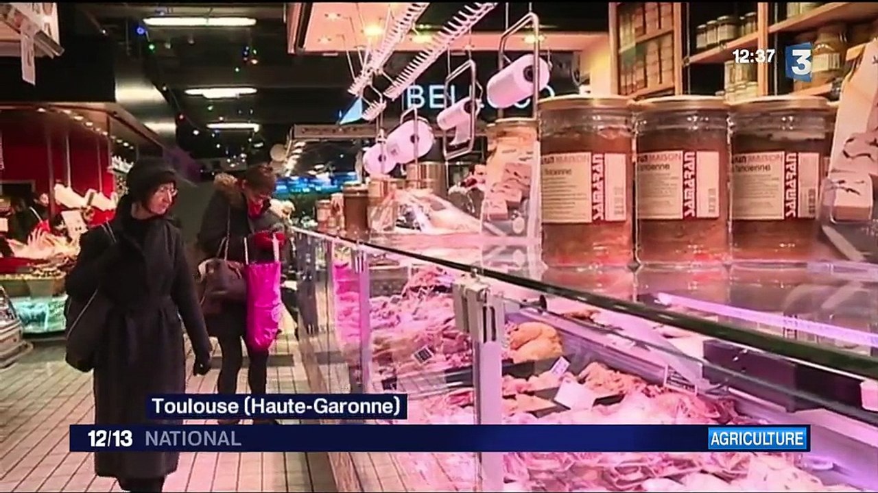 Grippe aviaire : une nouvelle campagne d'abattage démarre