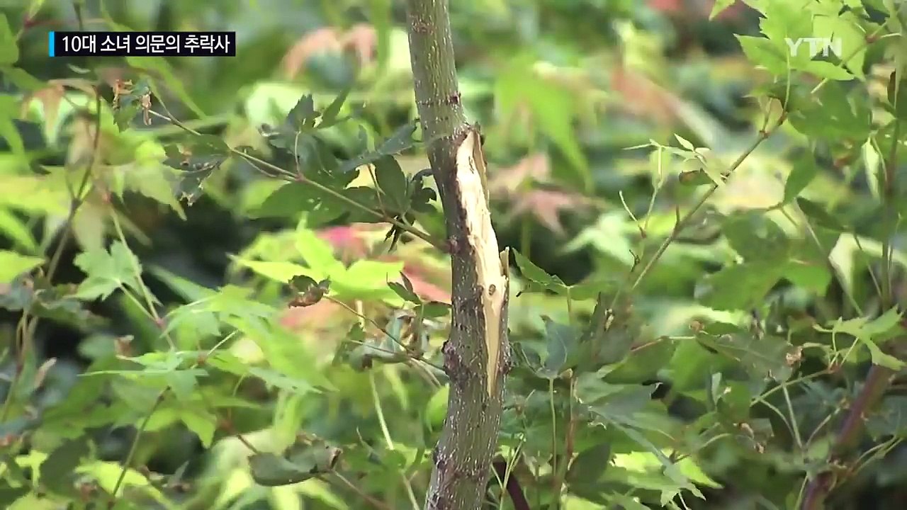 10대 소녀 의문의 추락사...증거 휴대전화도 사라져 / YTN (Yes! Top N...