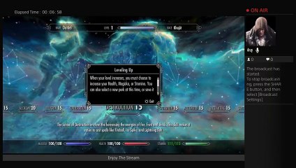 Skyrim Modded Livestream: Come Hang Out (2)