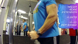 Gym Workout   Arms - Biceps Triceps Exercises   Sets n  Reps