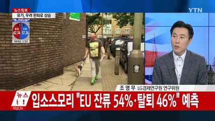 초등학교 6학년 수준으로 설명하는 '브렉시트' / YTN (Yes! Top News)