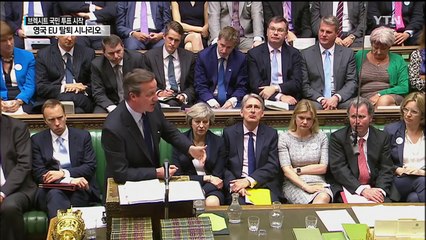 어느 결론 나더라도...캐머런 책임 불가피 / YTN (Yes! Top News)