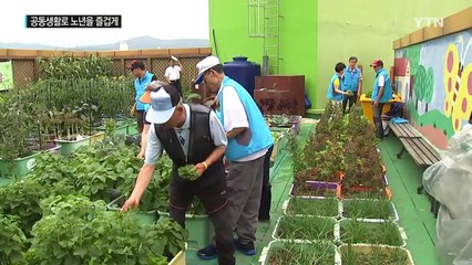 공동생활로 노년을 즐겁고 건강하게 / YTN (Yes! Top News)