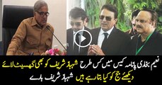Naeem Bukhari Put Shehbaz Sharif in Panama Case Too