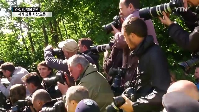 예상 깬 'EU 탈퇴' 선택...캐머런 총리 10월 사퇴 / YTN (Yes! Top News)