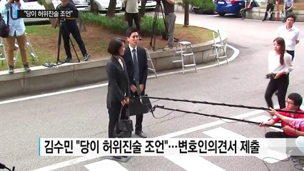 리베이트 의혹 김수민 "당이 허위진술 조언" / YTN (Yes! Top News)