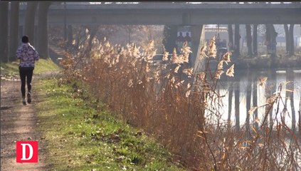 FLASH INFO - 6/01/2017 - Peut-on encore sauver le Canal du Midi ?