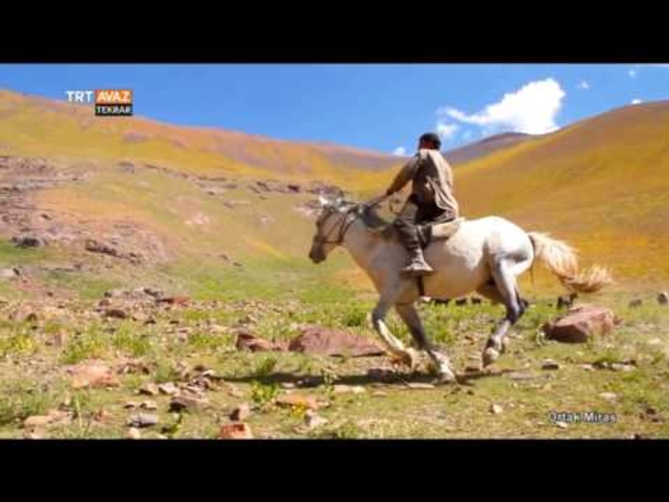 Türk Kültüründe Hangi Özel Günlerde At Yarışları Yapılıır? - Ortak Miras - TRT Avaz