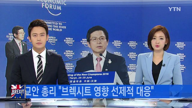황교안 국무총리 브렉시트 영향 선제적 대응 / YTN (Yes! Top News)