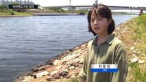 경인아라뱃길서 50대 남성 시신 발견...신체 일부 훼손 / YTN (Yes! Top News)