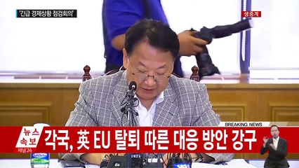 유일호 경제부총리 '긴급 경제상황 점검회의' 주재 / YTN (Yes! Top News)