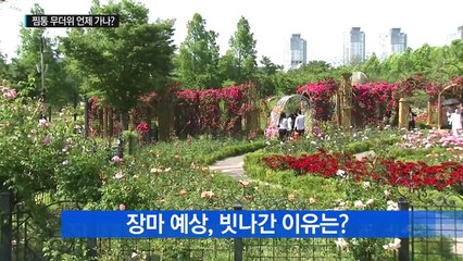 "장마 온다더니..." 찜통 무더위 언제 가나? / YTN (Yes! Top News)