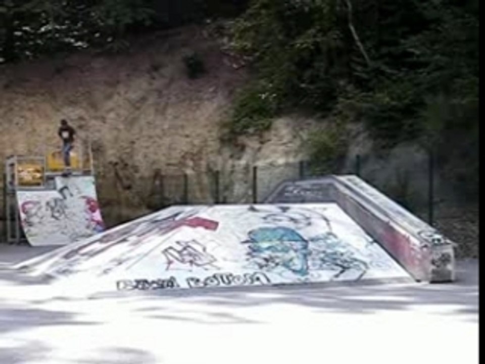 Fs flip