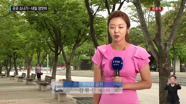[날씨] 오늘 곳곳 소나기...내일 전국 장맛비, 중부 150mm 폭우 / YTN (Yes! Top News)