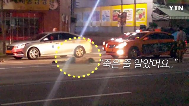 [영상] 세상 편하게 자고있어.. 도로 위 만취자의 '목숨 건 숙면' / YTN (Yes! Top News)