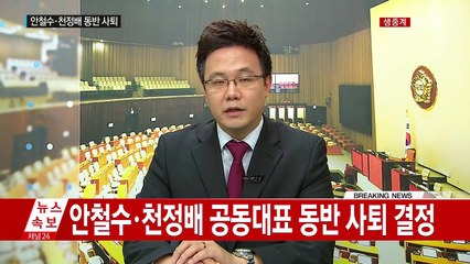 안철수·천정배 동반 사퇴...쌍두마차 잃은 국민의당 / YTN (Yes! Top News)