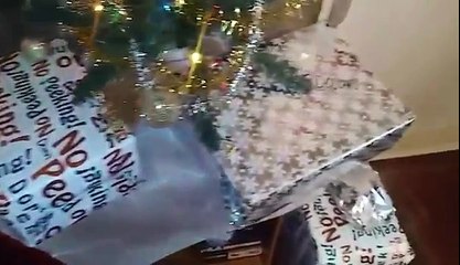 My Life Revolves Around SIMS 4 | VLOGMAS DAY 11