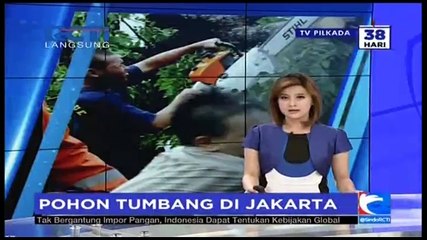 Pohon Tumbang di Jatinegara, Jalan Macet Parah