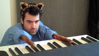 Keyboard Cat Redux