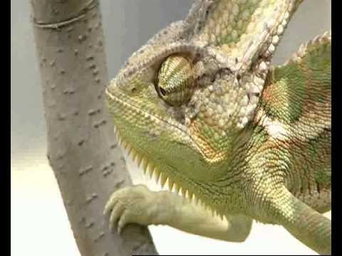 Bir Evde Her Çarşamba 21.15'te TRT Okul'da - TRT Okul