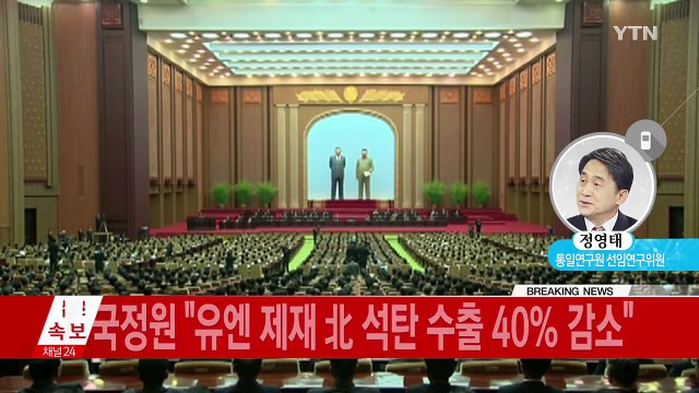 국정원 김정은, 신변 위협에 불면증 시달려 / YTN (Yes! Top News)