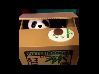Panda piggy bank!