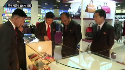 "北 특권층, 기득권 위해 충성심 발휘" / YTN (Yes! Top News)