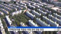 주택담보대출, 올해 최대 증가...재건축 집중 점검 / YTN (Yes! Top News)