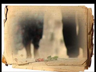 Hayat Kısa Kuşlar Uçuyor, 20 Mayıs Pazartesi 08.20'de TRT Okul'da...