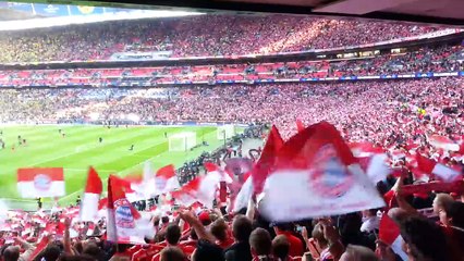 Stern des Südens live in Wembley