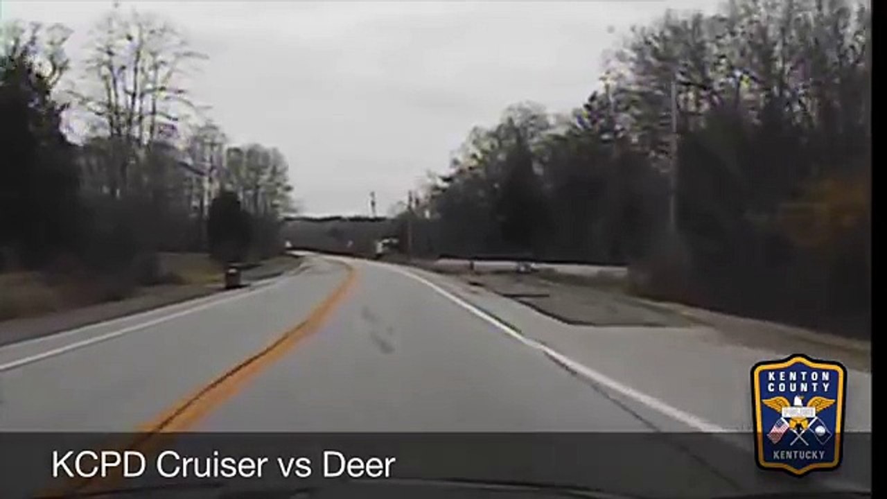 Cop car hits deer - Dashcam from Kenton County Police - TomoNews