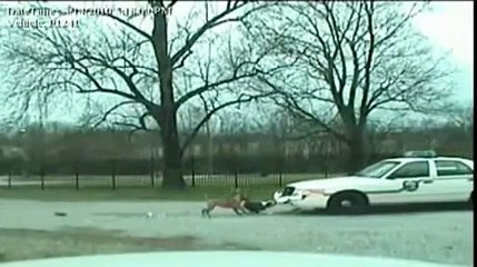 Crazy Dog Attacks Police Car!