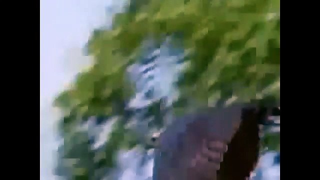 Eagle Attack Eagle vs Snake,Goat,Man,Wolf,other Animals BEST Amazing Eagle Attack Animal HD