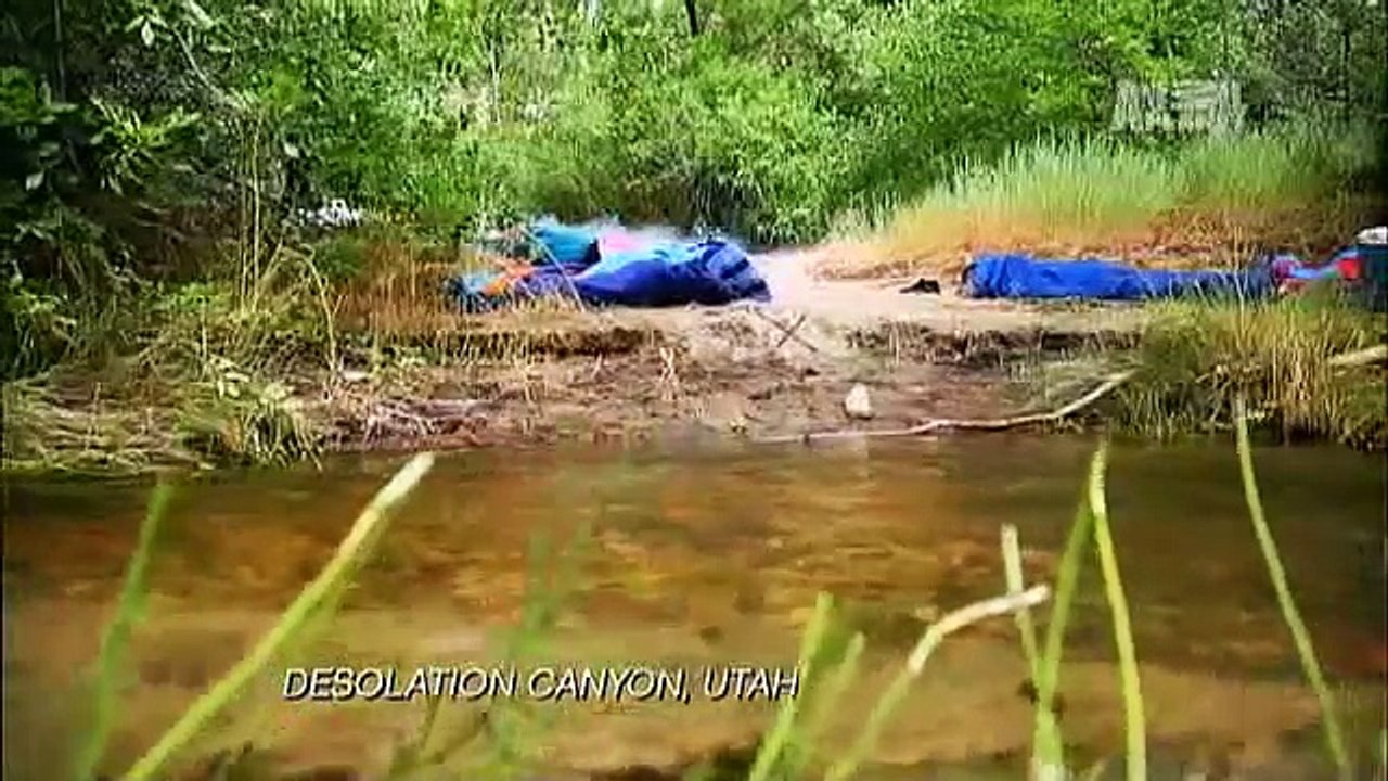 I m Alive- Bear Attacks Sleeping Man