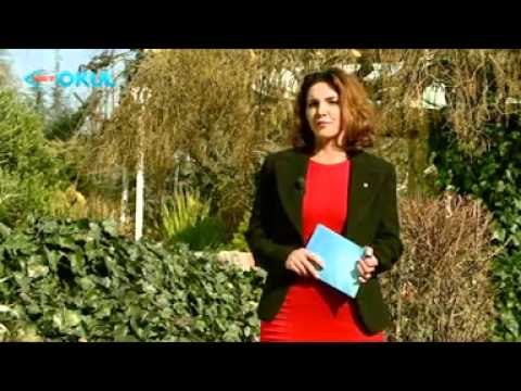 İktisadi Düşünce Tarihi 5.Ders (AÖF 2013-2014) - TRT Okul