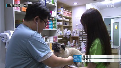 반려동물 생산, 허가제 도입...관리·감독 강화 / YTN (Yes! Top News)