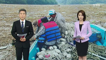 충청 주민들의 식수원, 대청호에 '쓰레기 섬' 둥둥 / YTN (Yes! Top News)