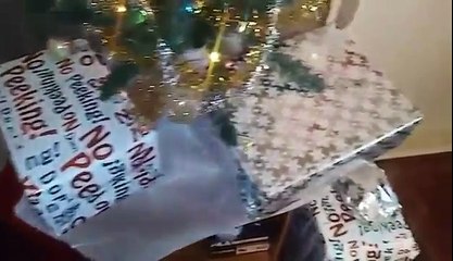 WE GOT A NEW...? | VLOGMAS DAY 2