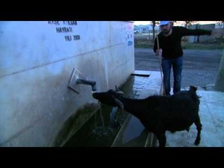 Ben Yaparım - Serkan'ın Çobanlık Sınavı - TRT Okul