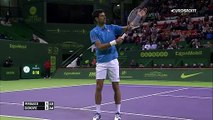 ATP Doha: Novak Djokovic - Fernando Verdasco