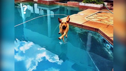 top 50 photos prises au bont moment