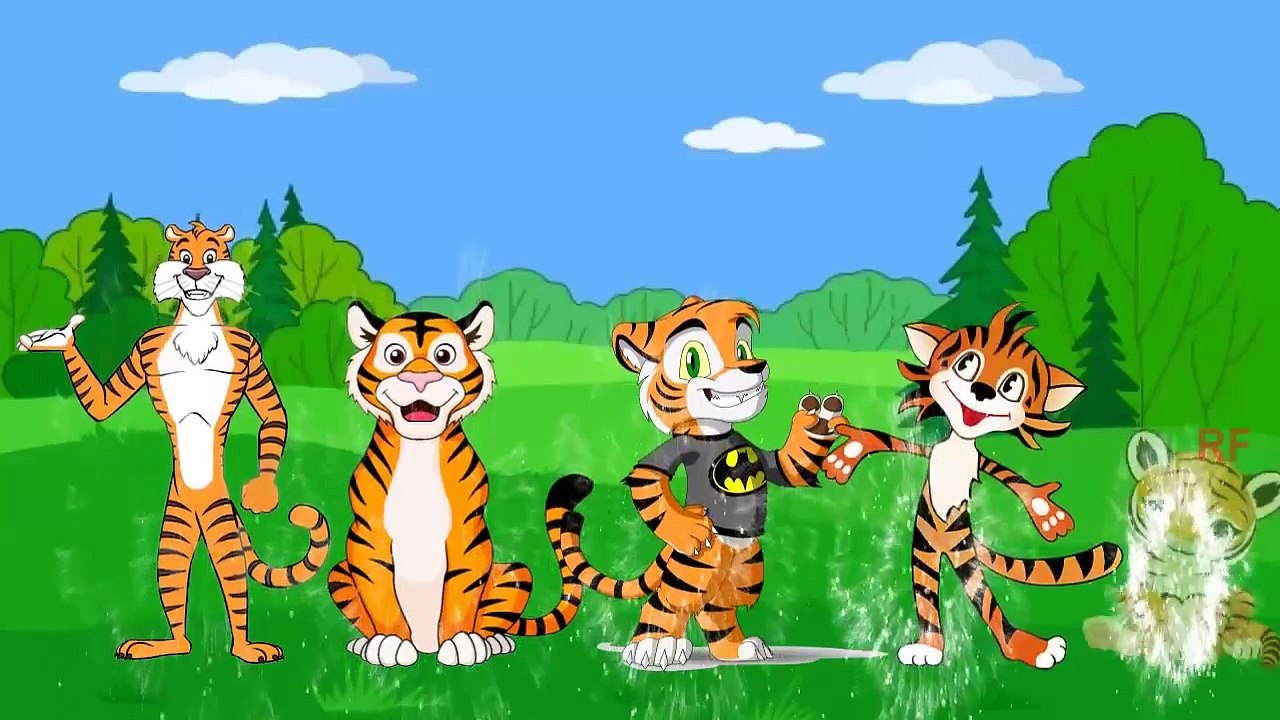 Tiger Finger Family | Funny Rhymes For Pre School Kids | 3D Animated Cartoon Rhymes |